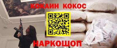 стаф Дубна