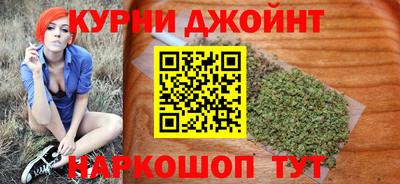 стаф Дубна