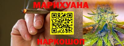 стаф Дубна