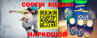 стаф Дубна