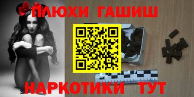 стаф Дубна