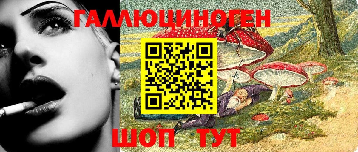Ессентуки  закладки  Вход с VPN  Галлюциногенные грибы мицелий 