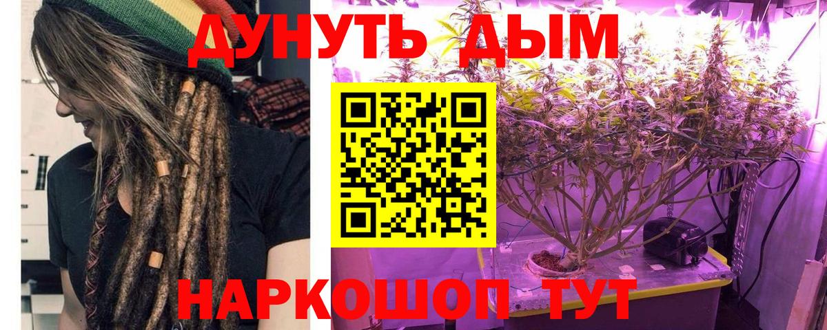 Канабис конопля  Бошки марихуана план  Марихуана ГИДРОПОН  Вход с VPN  Ессентуки 